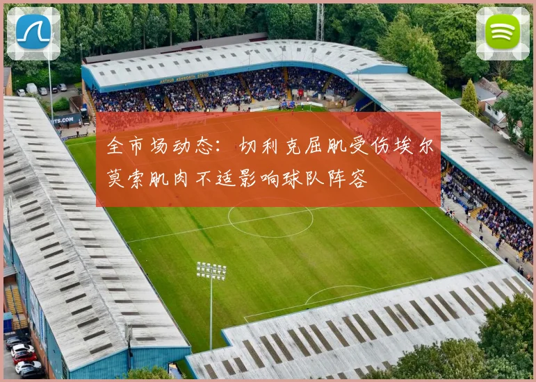 全市场动态：切利克屈肌受伤埃尔莫索肌肉不适影响球队阵容